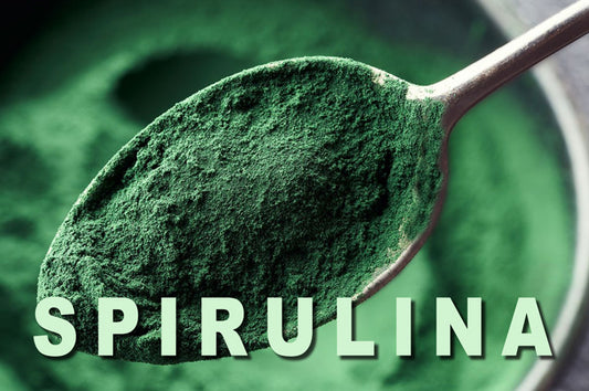 Spirulina-with-title_LR