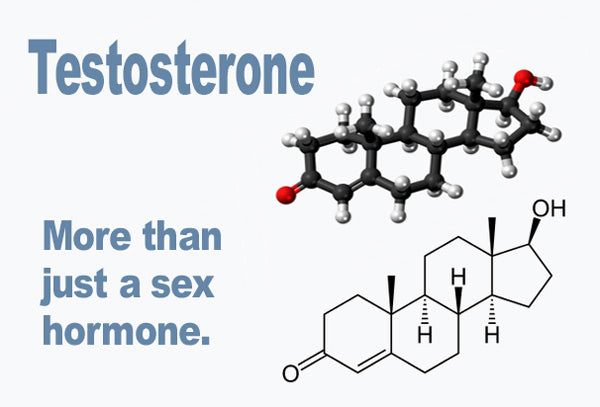 Testosterone-More_LR