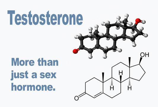 Testosterone-More_LR