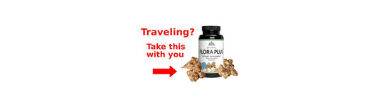 Jet lag shown to wreak havoc on the gut microbiome in new review