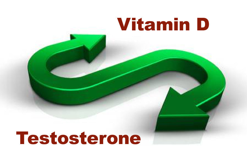 Vit-D-and-Testosterone_LR