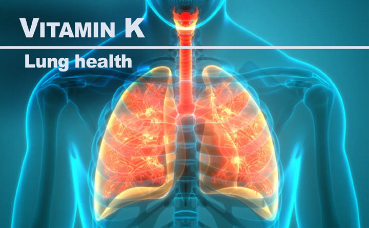 Vit-k-lung-health_LR