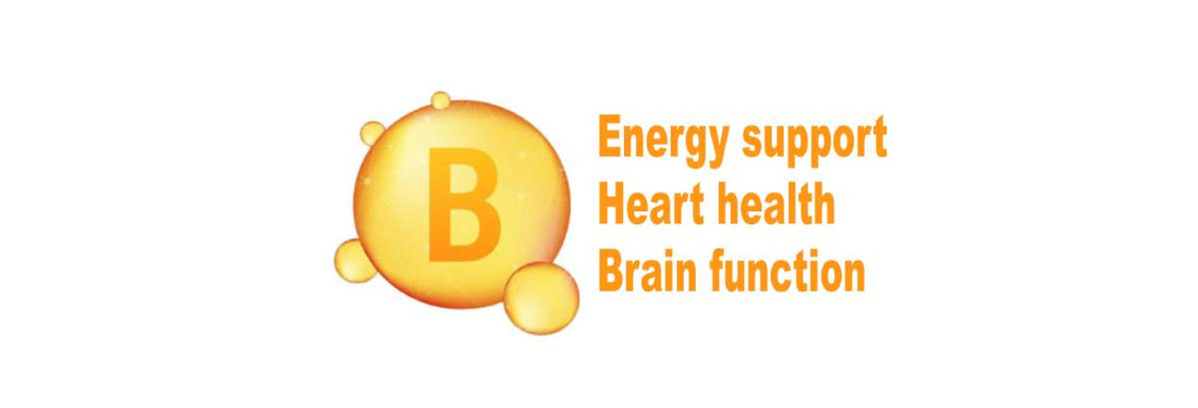 B-vitamin study: Energy in the short term, heart and brain health in the long term