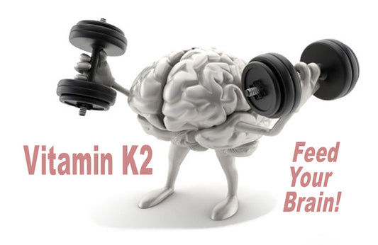 VitaminK2-feed-brain_LR
