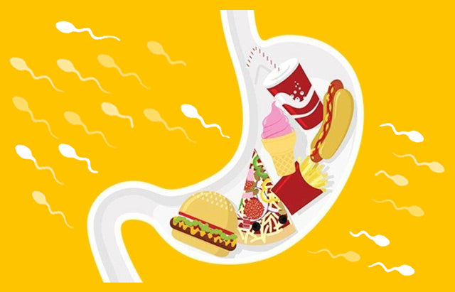 WesternDietSperm