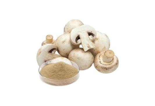 White button mushrooms: The delicious fungi that halts cancer cell growth
