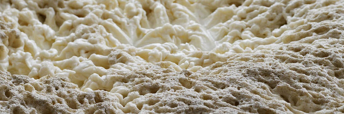 Ubiquinol is so critical it should be considered a "conditionally essential" nutrient, researchers say