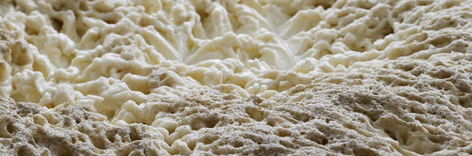 Ubiquinol is so critical it should be considered a "conditionally essential" nutrient, researchers say