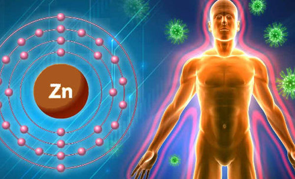 ZincForHeart