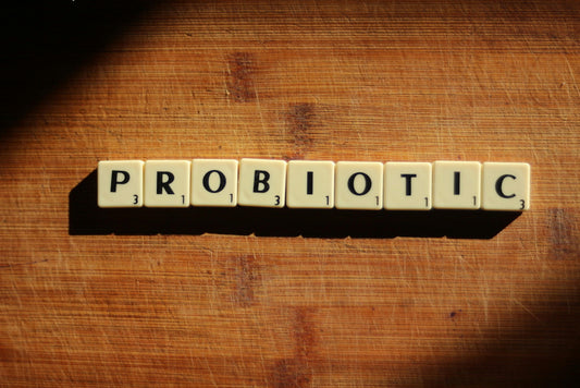 The Power of Probiotics: How Good Bacteria Can Improve Your Health