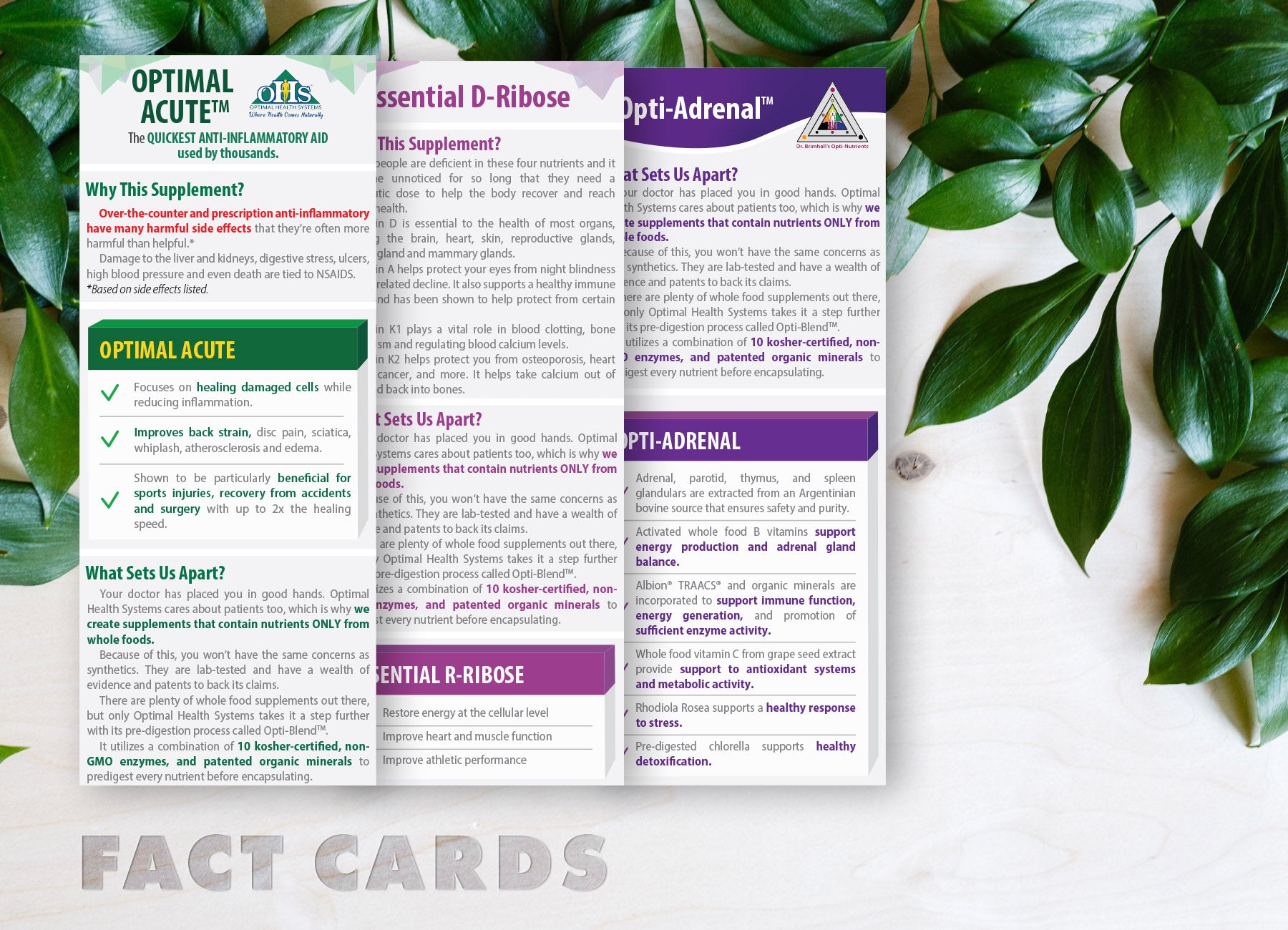 WS - Fact Cards