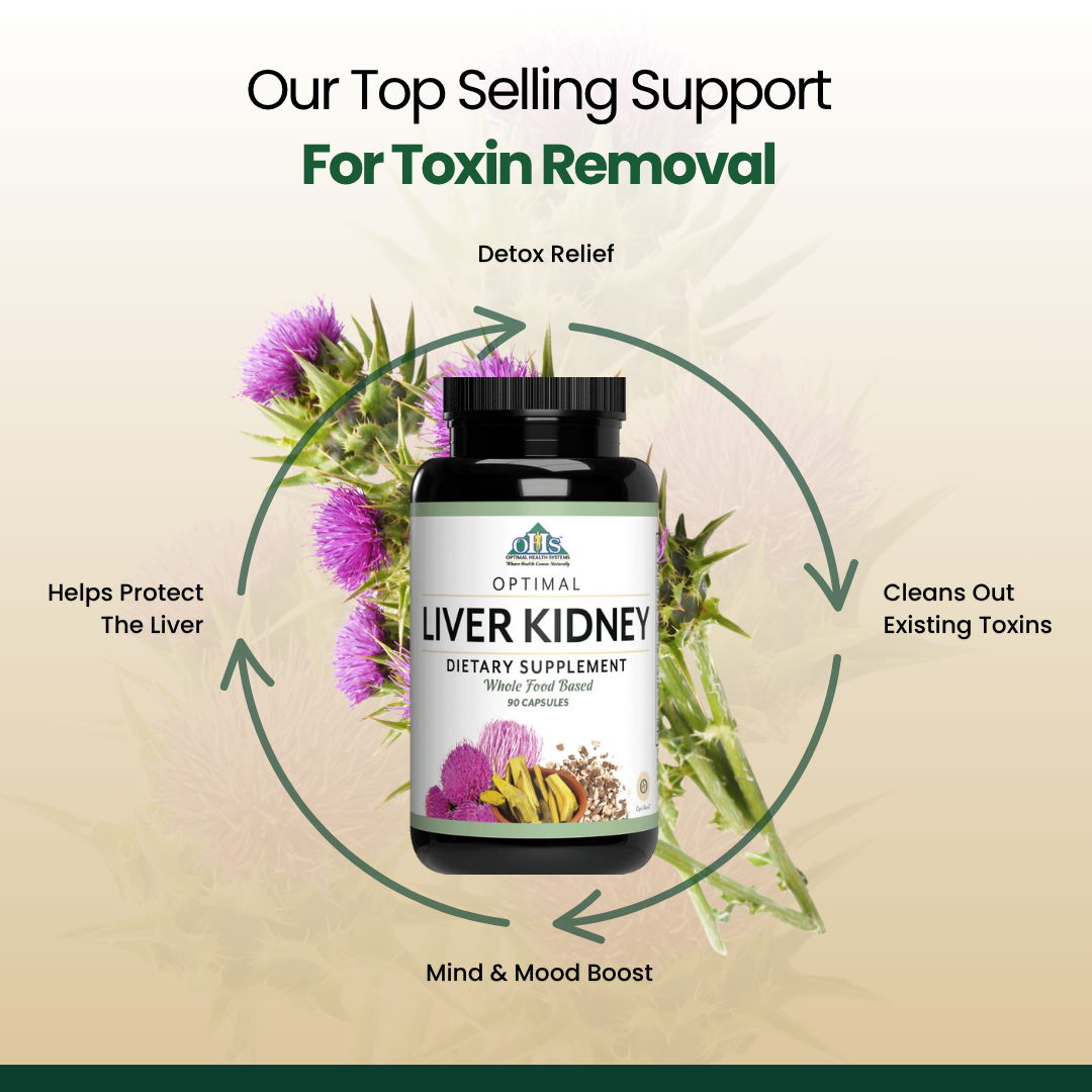 Liver Kidney Benefit PNG