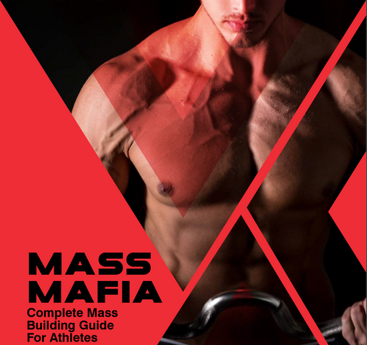Image of theMass Mafia ebook cover Mass Mafia