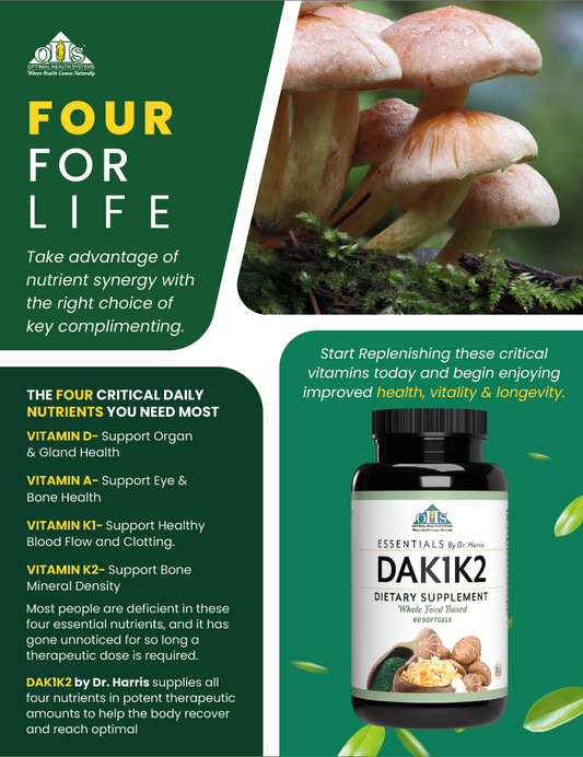  DAK1K2 Flyer