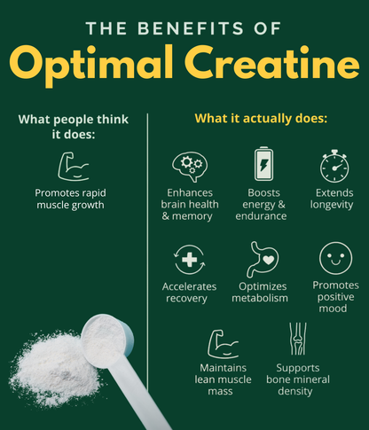 creatine benefits